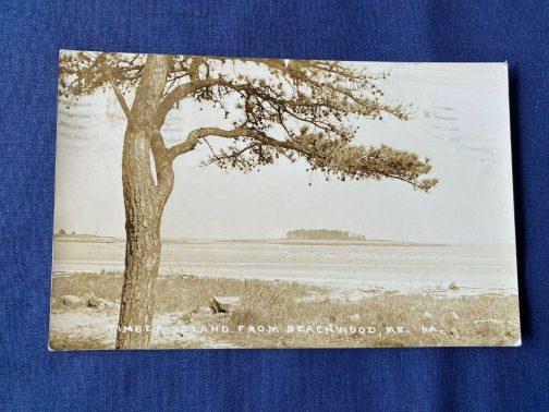 Vintage RPPC Postcard Timber Island From Beachwood, ME.