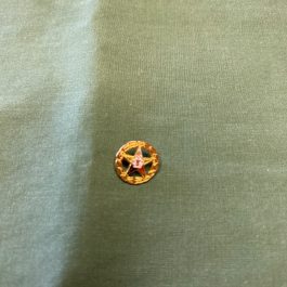 Vintage Small Masonic O.E.S. Order Of The Eastern Star TALFA Brooch Pin