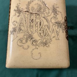 Antique Celluloid Photo Album With Many Cabinet Cards 1800’s/Early 1900’s