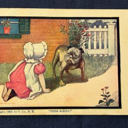 Antique 1905 Girl Child And Bulldog Peek-A-Boo Postcard – Used
